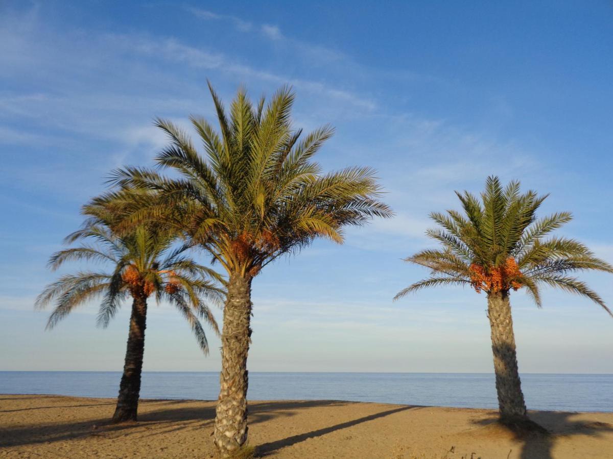 Precioso Apart Sur Y Norte Cerca Playa Y Centro - Cascadas De La Marina Dénia Esterno foto